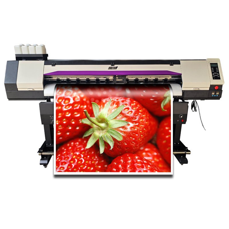 Commercial Vinyl Printing Machine - Factory Dx5 Xp600 1.8M Large Format